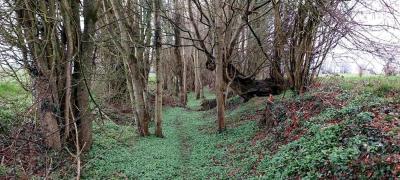 26/03/2023 Souancé au Perche