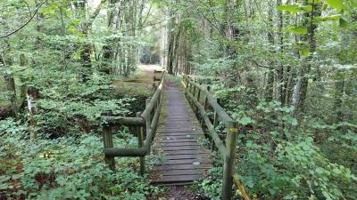 03/09/2023 Abbaye de la Trappe