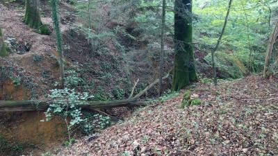 03/09/2023 Abbaye de la Trappe