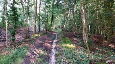 03/09/2023 Abbaye de la Trappe