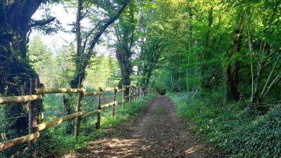 03/09/2023 Abbaye de la Trappe