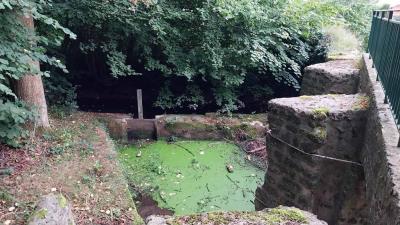 17/09/2023 Senonches