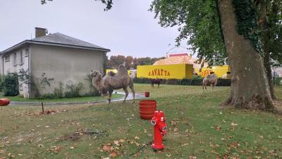 17/09/2023 Senonches