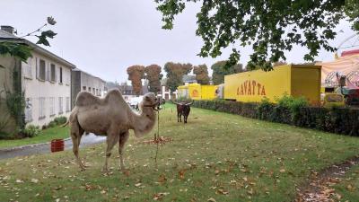 17/09/2023 Senonches