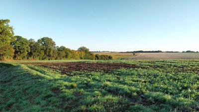 24/09/2023 La Fourche