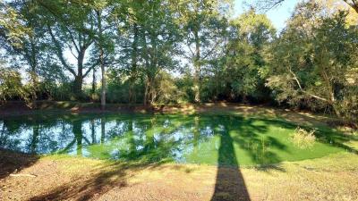 24/09/2023 La Fourche