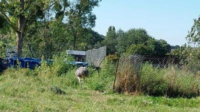 24/09/2023 La Fourche