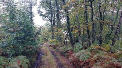 22/10/2023 St Victor de Buthon