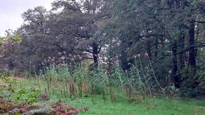 22/10/2023 St Victor de Buthon