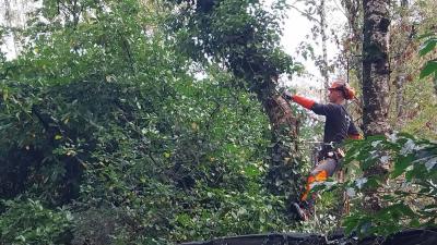 22/10/2023 St Victor de Buthon