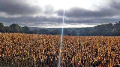 22/10/2023 St Victor de Buthon