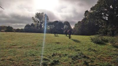 22/10/2023 St Victor de Buthon