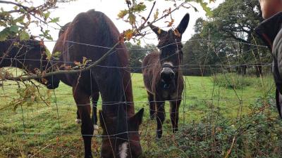 22/10/2023 St Victor de Buthon