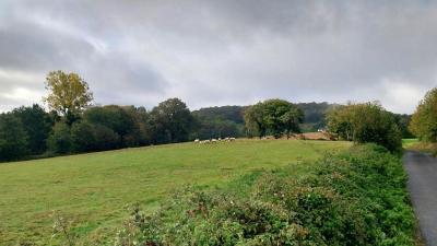 22/10/2023 St Victor de Buthon