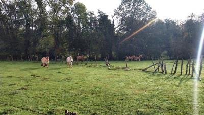 22/10/2023 St Victor de Buthon