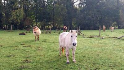 22/10/2023 St Victor de Buthon