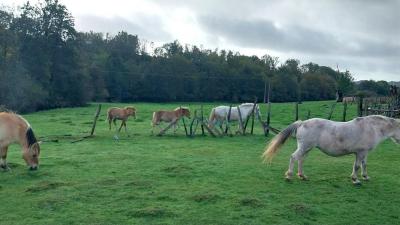 22/10/2023 St Victor de Buthon