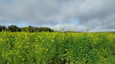 22/10/2023 St Victor de Buthon