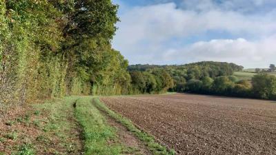 22/10/2023 St Victor de Buthon