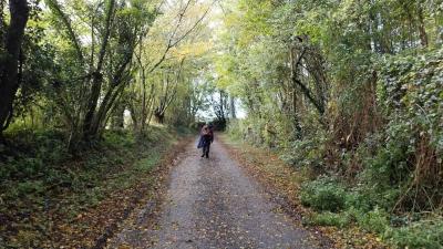 29/10/2023 Coudreceau