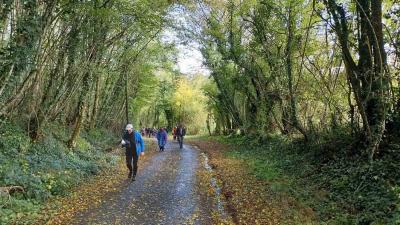 29/10/2023 Coudreceau