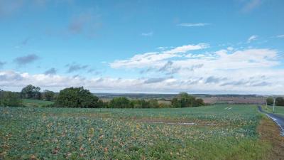 29/10/2023 Coudreceau