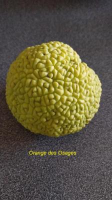 29/10/2023 Coudreceau