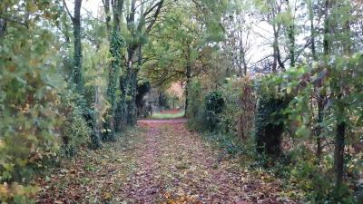 05/11/2023 Malétable