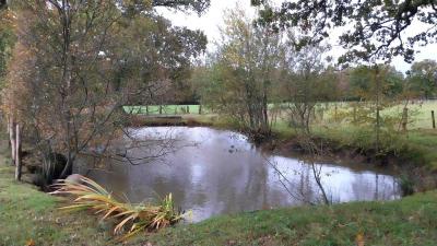 05/11/2023 Malétable