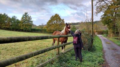 05/11/2023 Malétable