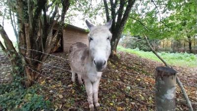 05/11/2023 Malétable