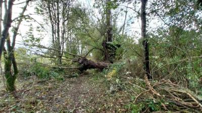 05/11/2023 Malétable