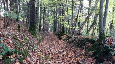 05/11/2023 Malétable