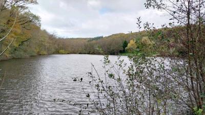 05/11/2023 Malétable