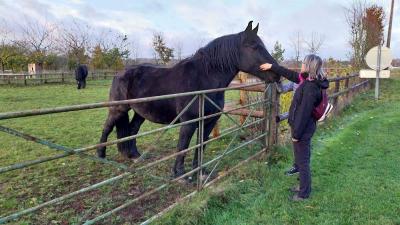 19/11/2023 Belhomert