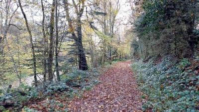 19/11/2023 Belhomert