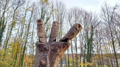 19/11/2023 Belhomert