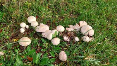 19/11/2023 Belhomert