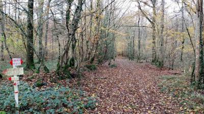 19/11/2023 Belhomert