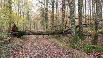 19/11/2023 Belhomert