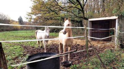 19/11/2023 Belhomert