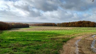 19/11/2023 Belhomert