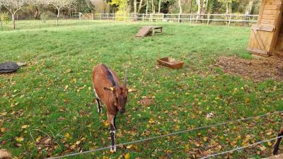 19/11/2023 Belhomert