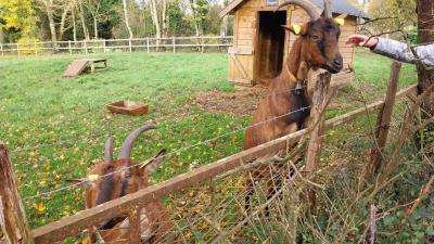 19/11/2023 Belhomert