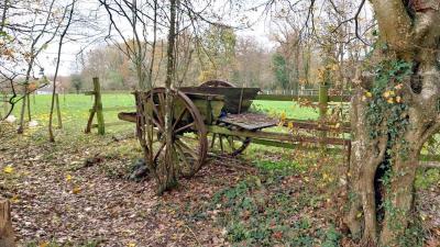 19/11/2023 Belhomert