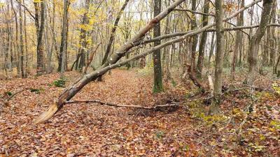 19/11/2023 Belhomert