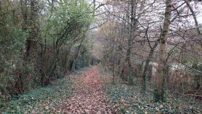 04/12/2023 Monceaux au Perche