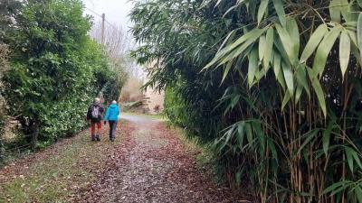 04/12/2023 Monceaux au Perche