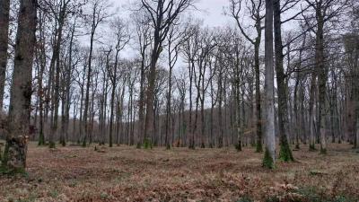 04/12/2023 Monceaux au Perche