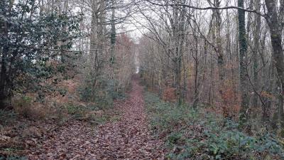 04/12/2023 Monceaux au Perche